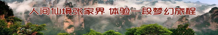 �˼��ɾ��żҽ�
